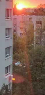 Orange sunset over city buildings viewed from a window.