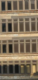 Urban building facade with brown windows reflecting light.