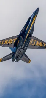 Jet aircraft soaring in a clear blue sky with navy markings.