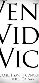 "Veni Vidi Vici" in bold typography on a white background.