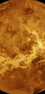 Venus detailed surface in golden tones.