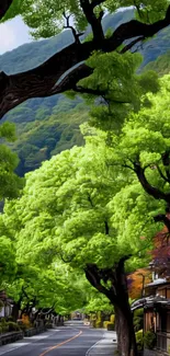 Lush green forest road with vibrant foliage.