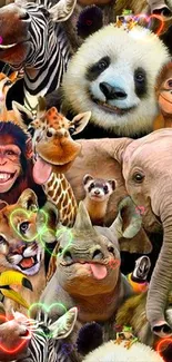 Vertebrate Organism Mammal Live Wallpaper