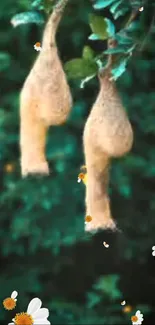 Hanging bird nests among flowers on a green forest background.