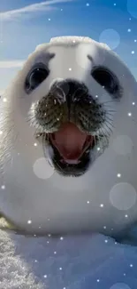 Vertebrate Snow Carnivore Live Wallpaper