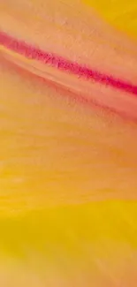 Vibrant yellow and pink abstract floral mobile wallpaper.