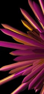 Vibrant abstract flower with pink and orange petals on black background.