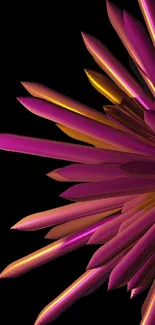 Vibrant abstract pink and yellow flower petals on a black background.