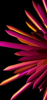 Vibrant pink and orange abstract spikes on a black background.