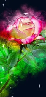 Abstract pink and green rose on dark background