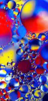 Colorful abstract bubble art with vibrant tones of red, blue, and yellow.