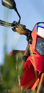 Red adventure motorcycle surrounded by green grass under a blue sky.