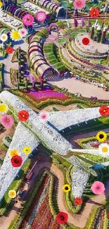 Aerial view of a vibrant airplane-shaped flower garden.