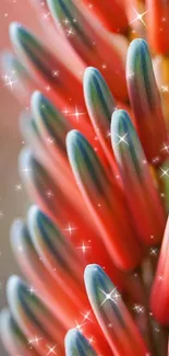 Close-up of vibrant aloe flower with sparkling effects.