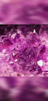 Close-up of vibrant purple amethyst crystals with geometric patterns.