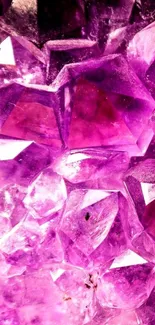 Close-up of amethyst crystals in vibrant purple colors.