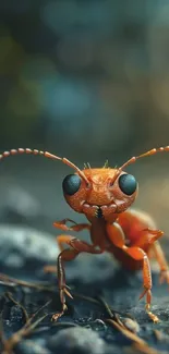Close-up image of an ant on a natural background, showcasing vibrant orange colors.