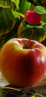 Bright red apple with green leaves background