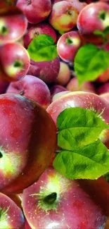 Vivid red apples with fresh green leaves on a mobile wallpaper.