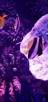 Exotic fish swim through purple coral in a vibrant aquarium scene.