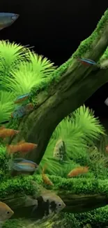 Colorful fish swim in a vibrant green aquarium with lush plants and mossy driftwood.