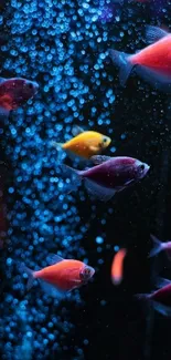 Vibrant mobile wallpaper with colorful fish and a blue bubble background.