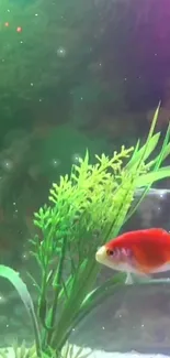 Vibrant fish swimming in a lush aquarium with green plants.