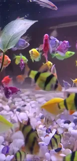 Vibrant aquarium with colorful fish swimming among rocks and plants.