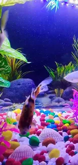 Colorful aquarium with vibrant fish and plants.