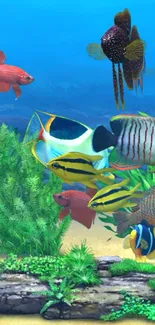 Colorful fish swim in a vibrant aquarium setting.