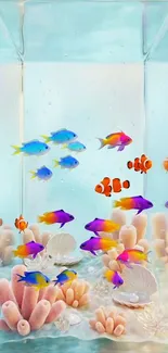 Colorful aquarium fish with coral in a glass tank.