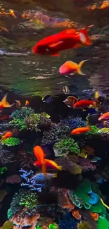 Colorful tropical fish swimming over coral reefs.