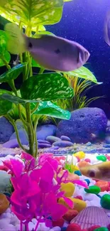 Colorful aquarium with fish, plants, and rocks.