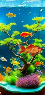 Colorful fish and plants in an aquarium wallpaper, perfect for mobile devices.