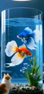 Aquarium with colorful fish and cat observing.