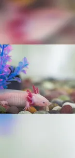 Vibrant axolotl in colorful aquarium setting.