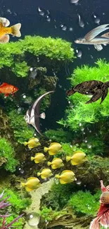 Colorful fish swim amid lush green aquatic plants.