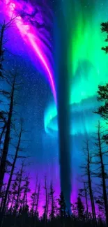 Vibrant aurora borealis over silhouetted trees at night.