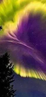 Vibrant aurora borealis with green and purple hues lighting up a night sky.