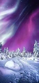 Snowy landscape with vibrant aurora borealis in the night sky.