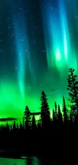 Vibrant Northern Lights over forest nightscape.