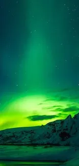 Vibrant green aurora borealis over snowy mountains at night.