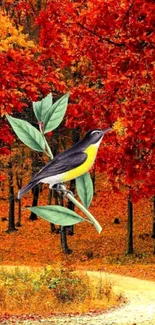 Bird on branch with vibrant autumn leaves.