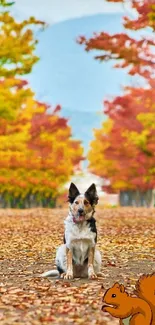 Dog sitting on autumn leaf-covered path surrounded by vibrant fall foliage.