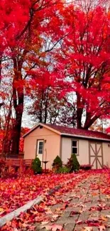 Cottage surrounded by bright red autumn foliage on a sunny day.