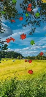 Colorful autumn leaves in a bright countryside landscape against a blue sky.