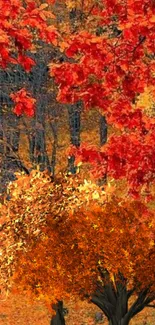 Autumn landscape with vibrant red foliage and a forest backdrop.