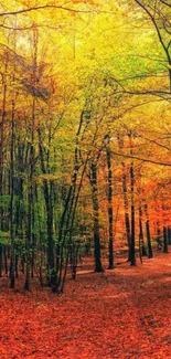 Autumn forest path with vibrant orange leaves and tall trees.