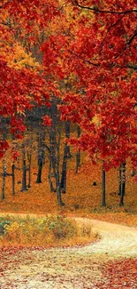 Vibrant autumn forest path with red leaves.
