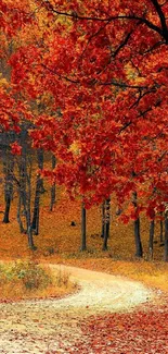 Vibrant red leaves in autumn forest with winding path.